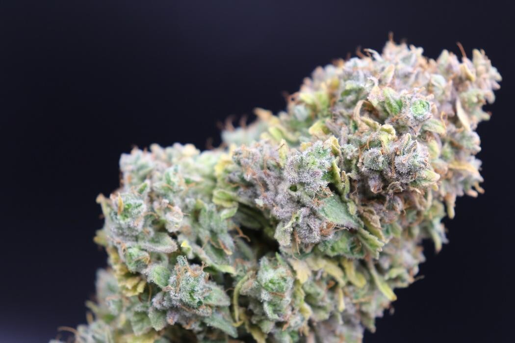 Images NuVue Pharma Dispensary Pueblo North