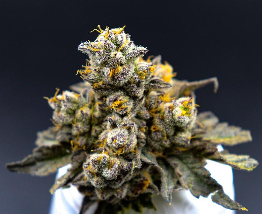 Images NuVue Pharma Dispensary Pueblo North
