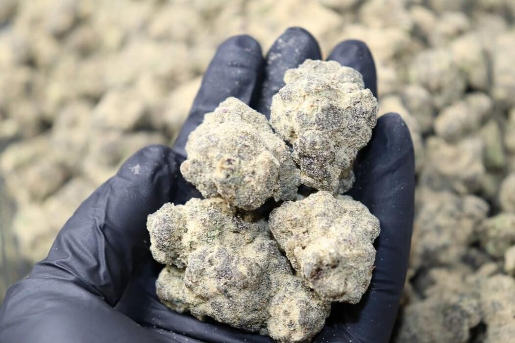 Images NuVue Pharma Dispensary Pueblo North