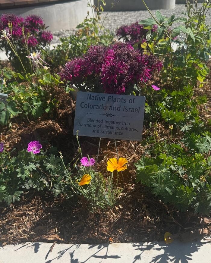 Images Staenberg-Loup Jewish Community Center