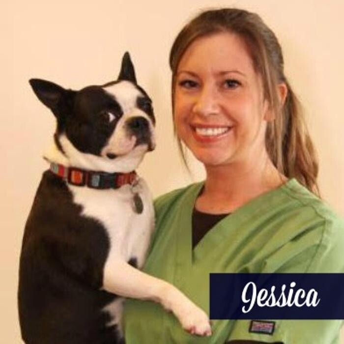 Images The Pet Doctor - O'Fallon