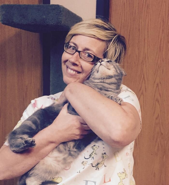 Images The Pet Doctor - O'Fallon