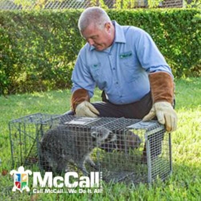 Images McCall Service
