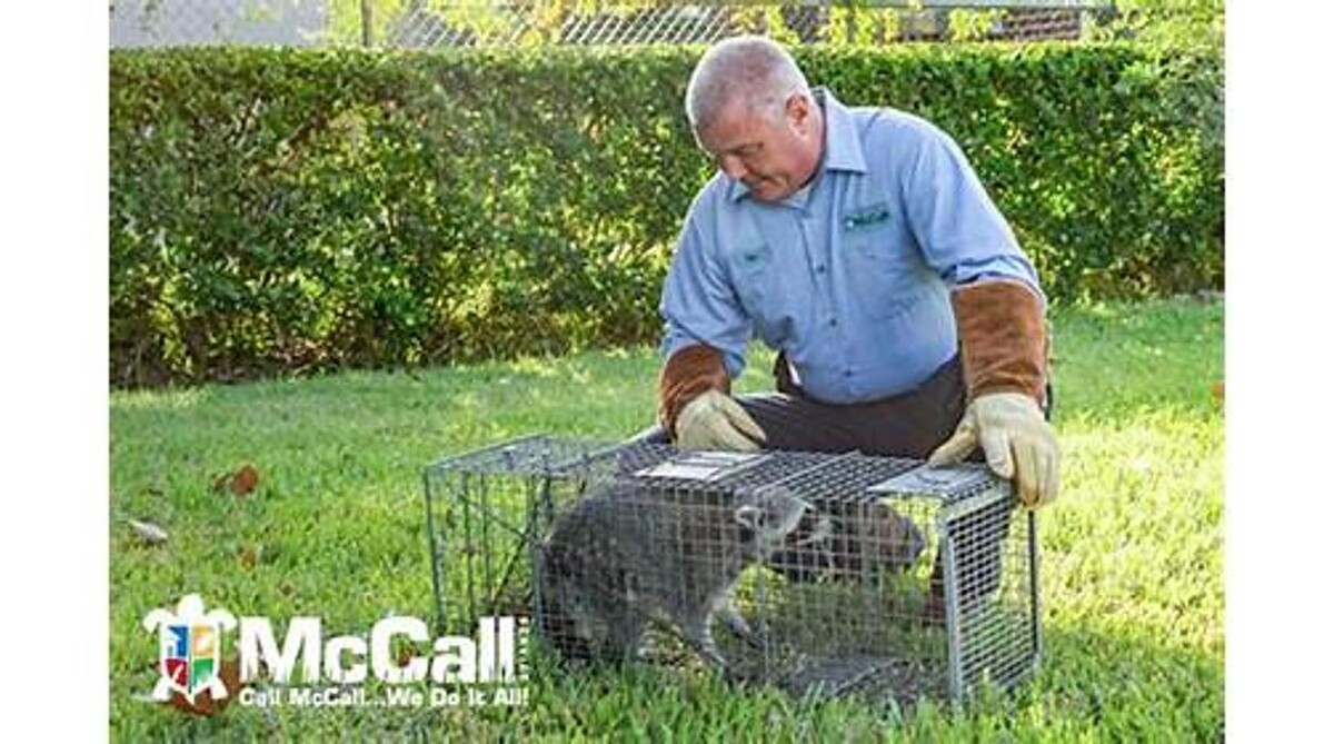 Images McCall Service