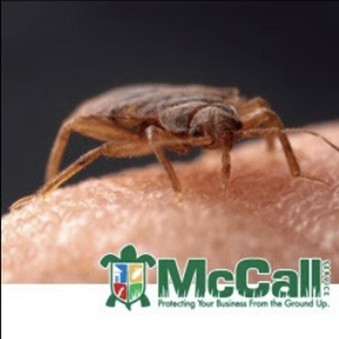 Images McCall Service