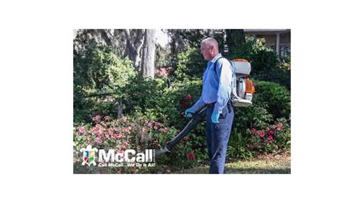 Images McCall Service