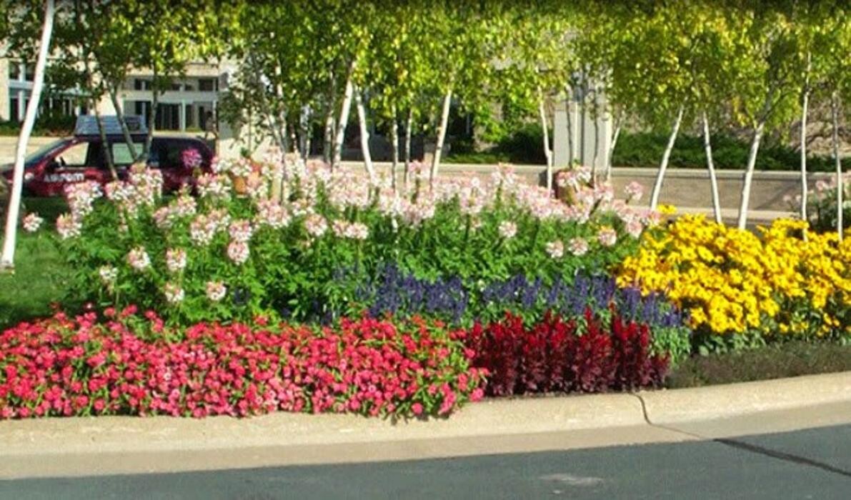 Images Greenside Inc