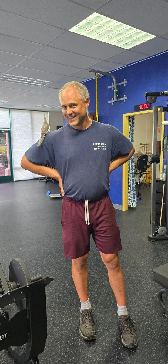 Images Royal Blue Fitness