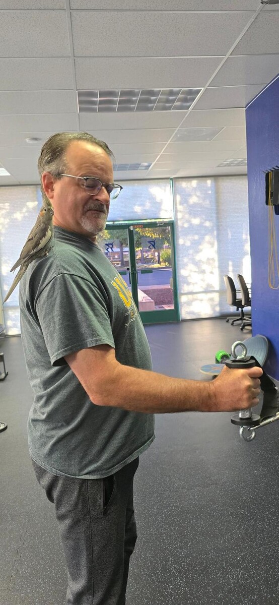 Images Royal Blue Fitness