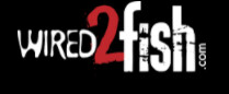 Wired2fish Logo
