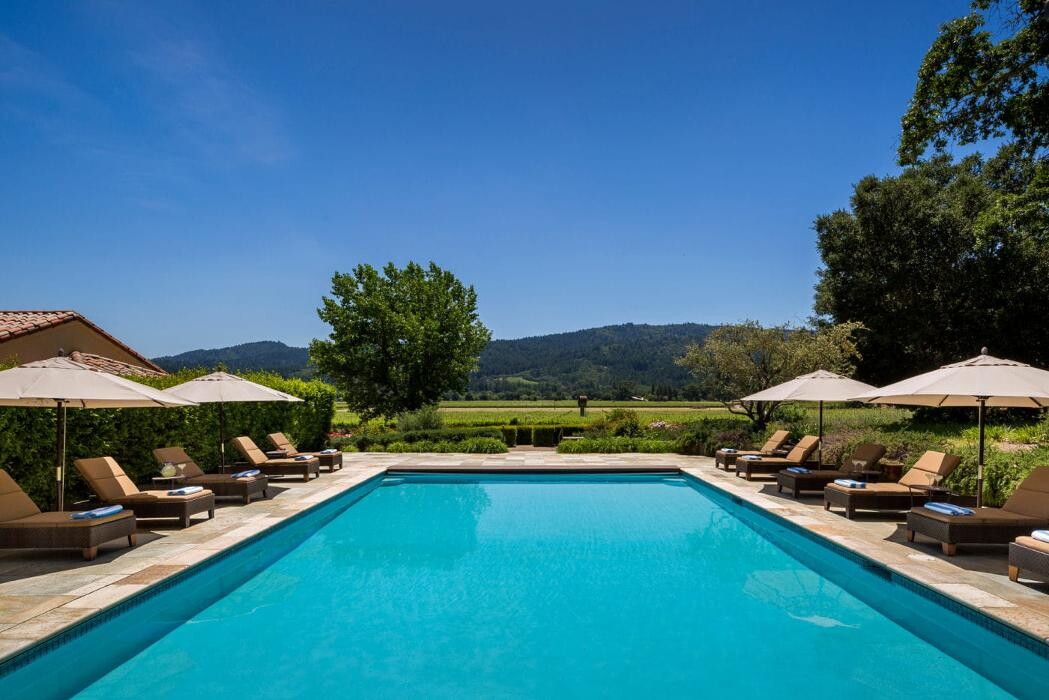 Images The Vine & Rose