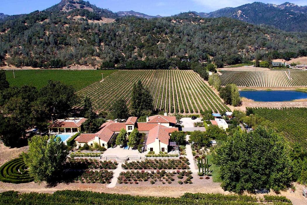 Images The Vine & Rose