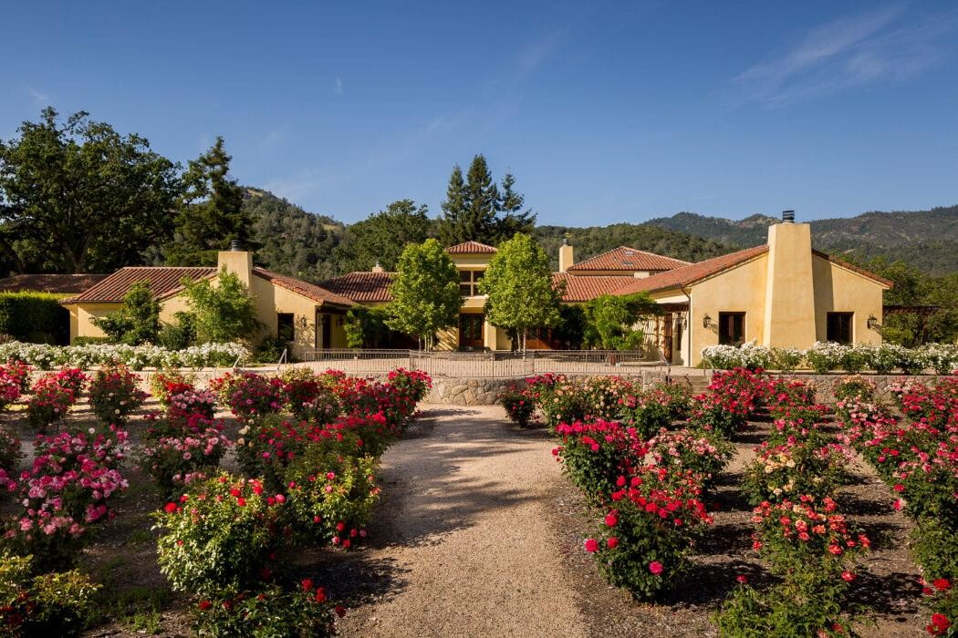 Images The Vine & Rose