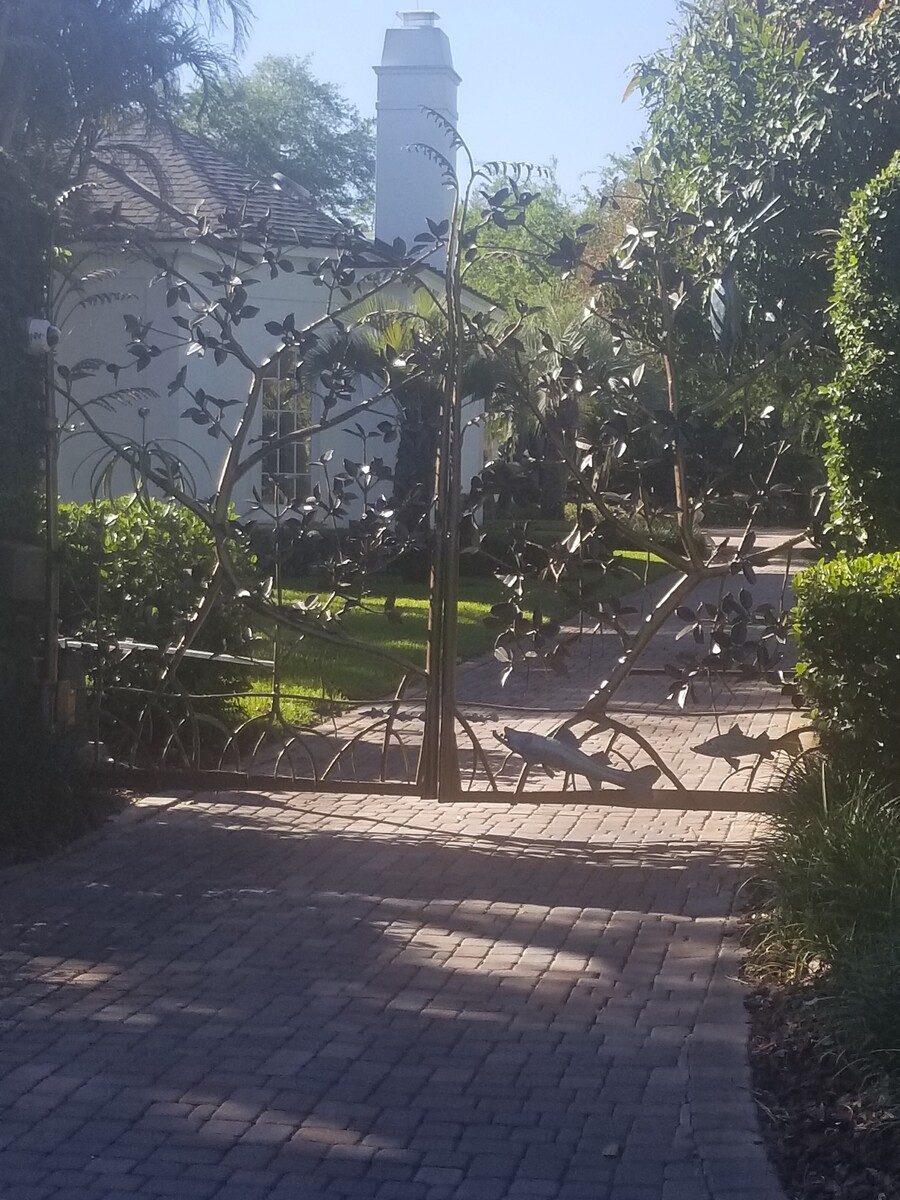 Images Tampa Tree Services, LLC