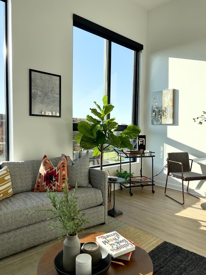 Images Forth at Navigation