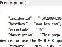 Website Screenshot Flaming Bird By H-E-B