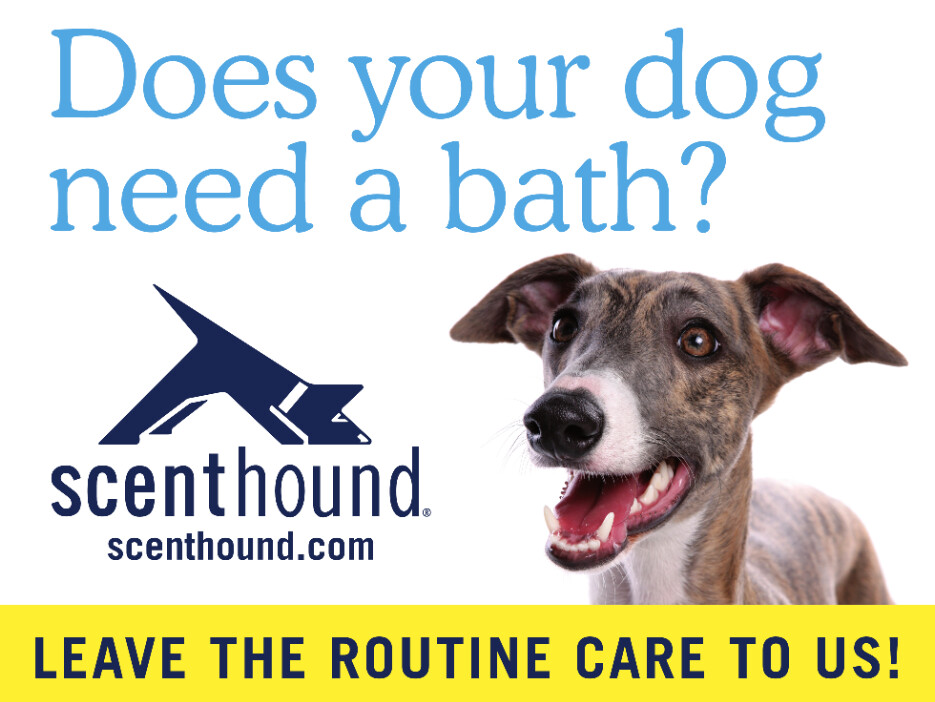 Images Scenthound Lee Branch