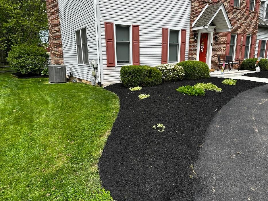 Images Clean Cut Landscaping Maintenance