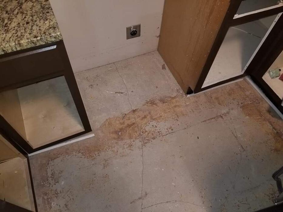 Images William Shuck