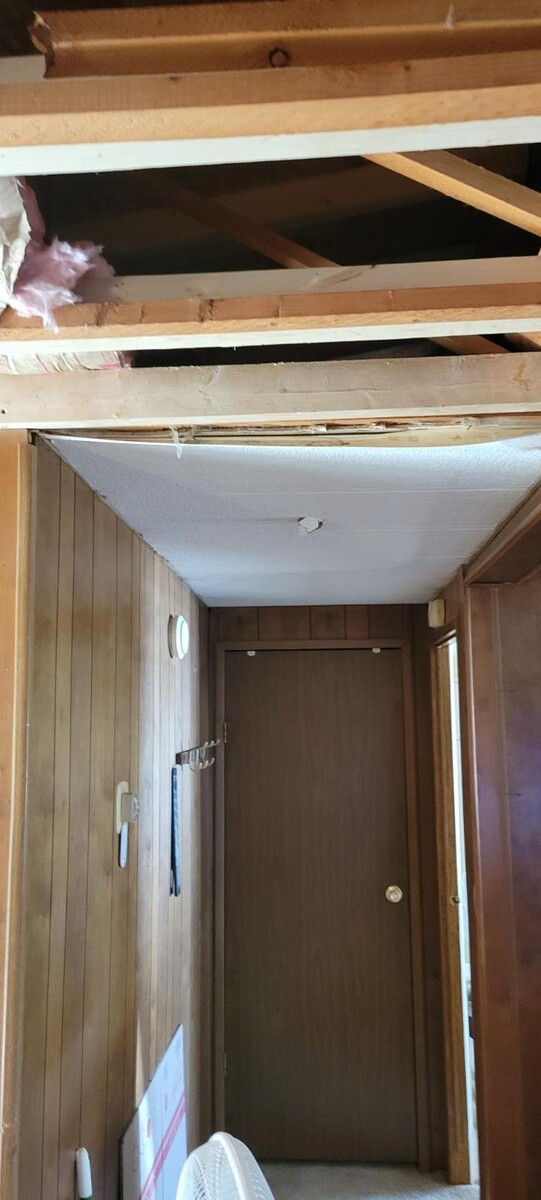 Images William Shuck