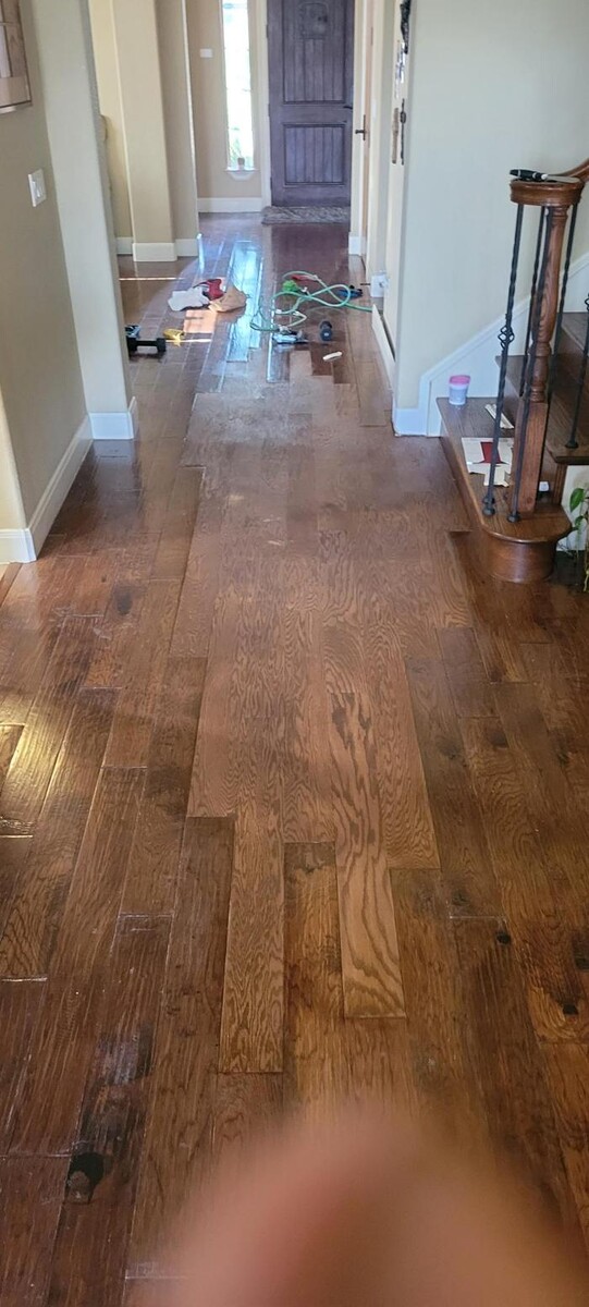 Images William Shuck