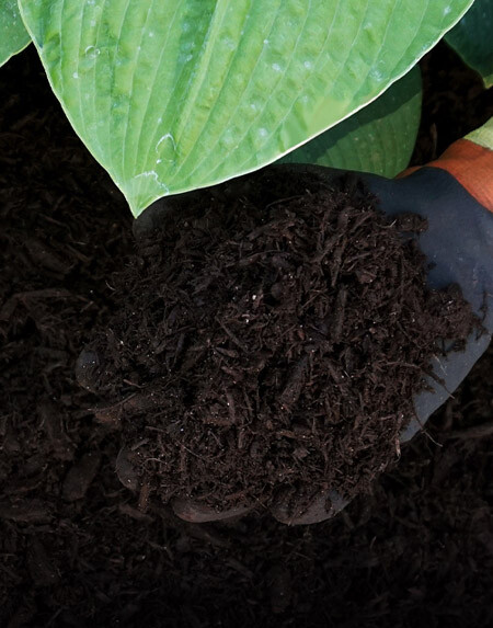 Images Kamps Wood Resource Solutions: Bark Division