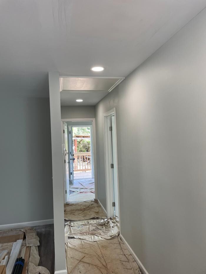 Images The Flash Electric