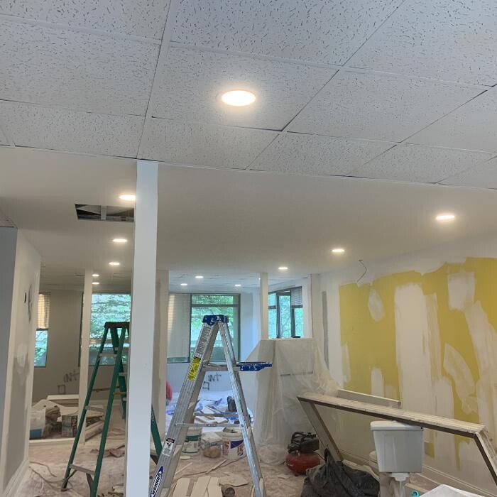 Images The Flash Electric