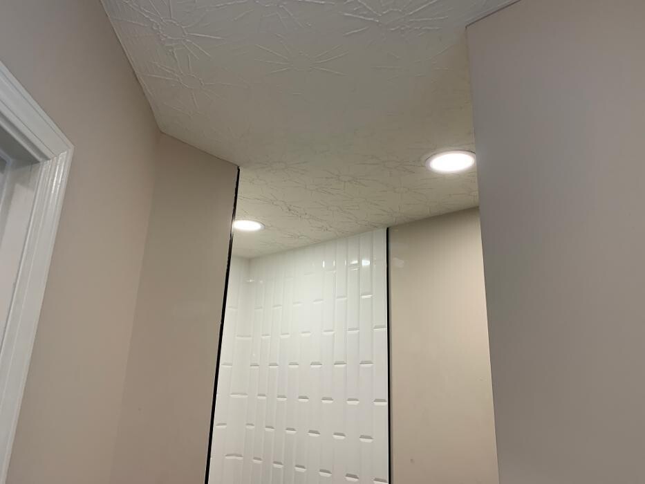 Images The Flash Electric