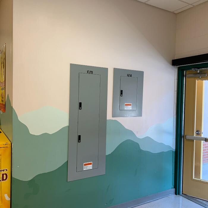 Images The Flash Electric