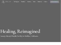 Website Amend Treatment