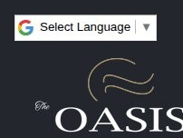 Website Screenshot The Oasis at Lakewood Ranch